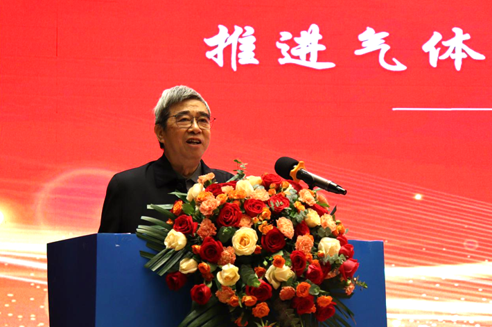 业界探讨气体净化领域高质量发展之路(图4)