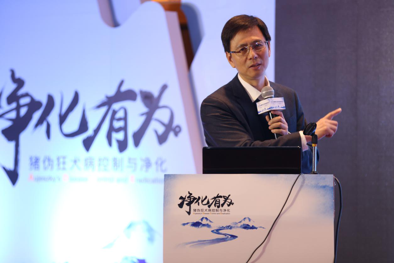 “2019猪病净化技术高峰论坛”聚焦区域净化