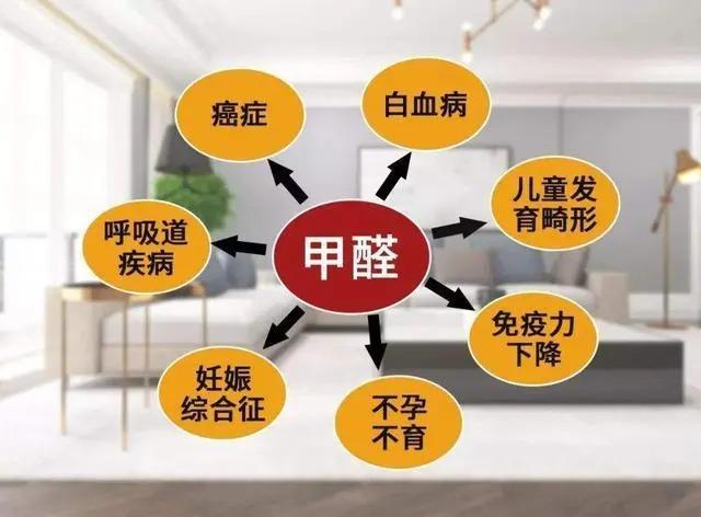 贝尔克空气净化器 过敏性鼻炎的福音、除甲醛神器(图3)
