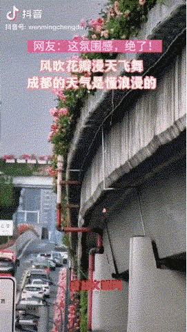 城市观察 “花开”成都！公园城市里的世园会(图4)