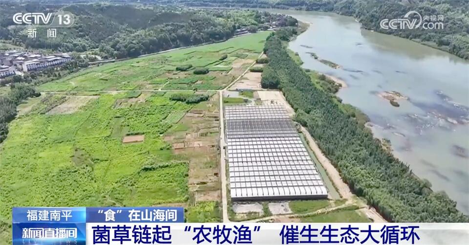 菌草串联“农牧渔”、现代设施农业助增收 福建向“绿”而行谋发展(图5)