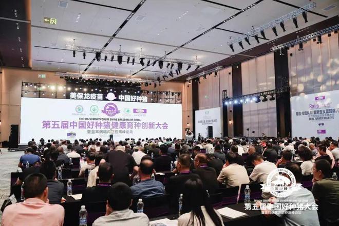 净化蓝耳病养猪每头增效360元！第五届中国好种猪健康育种创新大会盛大召开
