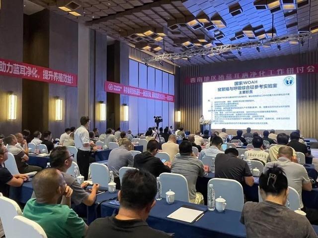 2024年西南地区猪蓝耳病净化研讨会在成都召开(图1)