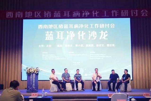 2024年西南地区猪蓝耳病净化研讨会在成都召开(图4)