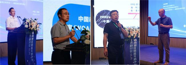 2024年西南地区猪蓝耳病净化研讨会在成都召开(图3)