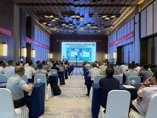2024年西南地区猪蓝耳病净化研讨会在成都召开(图2)